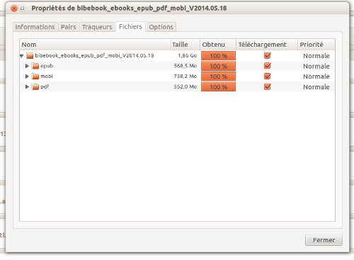 Fenêtre de téléchargement bittorent