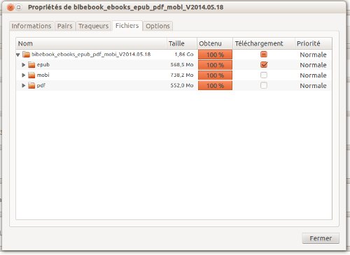 Fenêtre de téléchargement bittorent