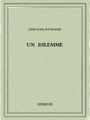Un dilemme - Huysmans, Joris-Karl - Bibebook cover