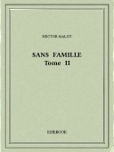 Sans famille II - Malot, Hector - Bibebook cover