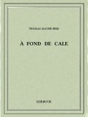 À fond de cale - Mayne-Reid, Thomas - Bibebook cover