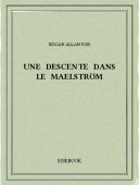 Une descente dans le maelström - Poe, Edgar Allan - Bibebook cover