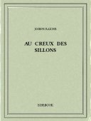 Au creux des sillons - Raîche, Joseph - Bibebook cover