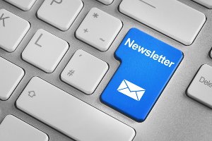 Bibebook newsletter