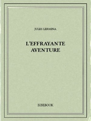 L&#039;effrayante aventure - Lermina, Jules - Bibebook cover