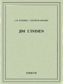 Jim l&#039;Indien - Aimard, Gustave, Auriac, J.-B. d&#039; - Bibebook cover