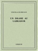 Un drame au Labrador - Dick, Wenceslas-Eugène - Bibebook cover