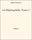 La Dégringolade, Tome 3 - Gaboriau, Émile - Bibebook cover