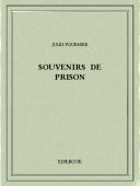 Souvenirs de prison - Fournier, Jules - Bibebook cover