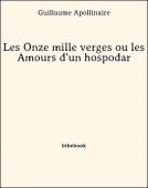Les Onze mille verges ou les Amours d&#039;un hospodar - Apollinaire, Guillaume - Bibebook cover