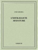 L&#039;effrayante aventure - Lermina, Jules - Bibebook cover
