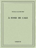 À fond de cale - Mayne-Reid, Thomas - Bibebook cover